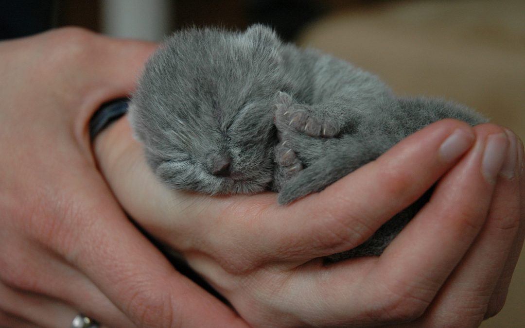 Van alleen naar iedereen