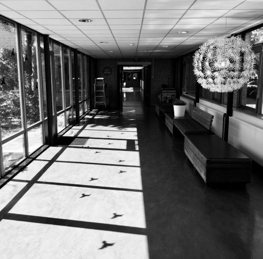 Openheid in de psychiatrie